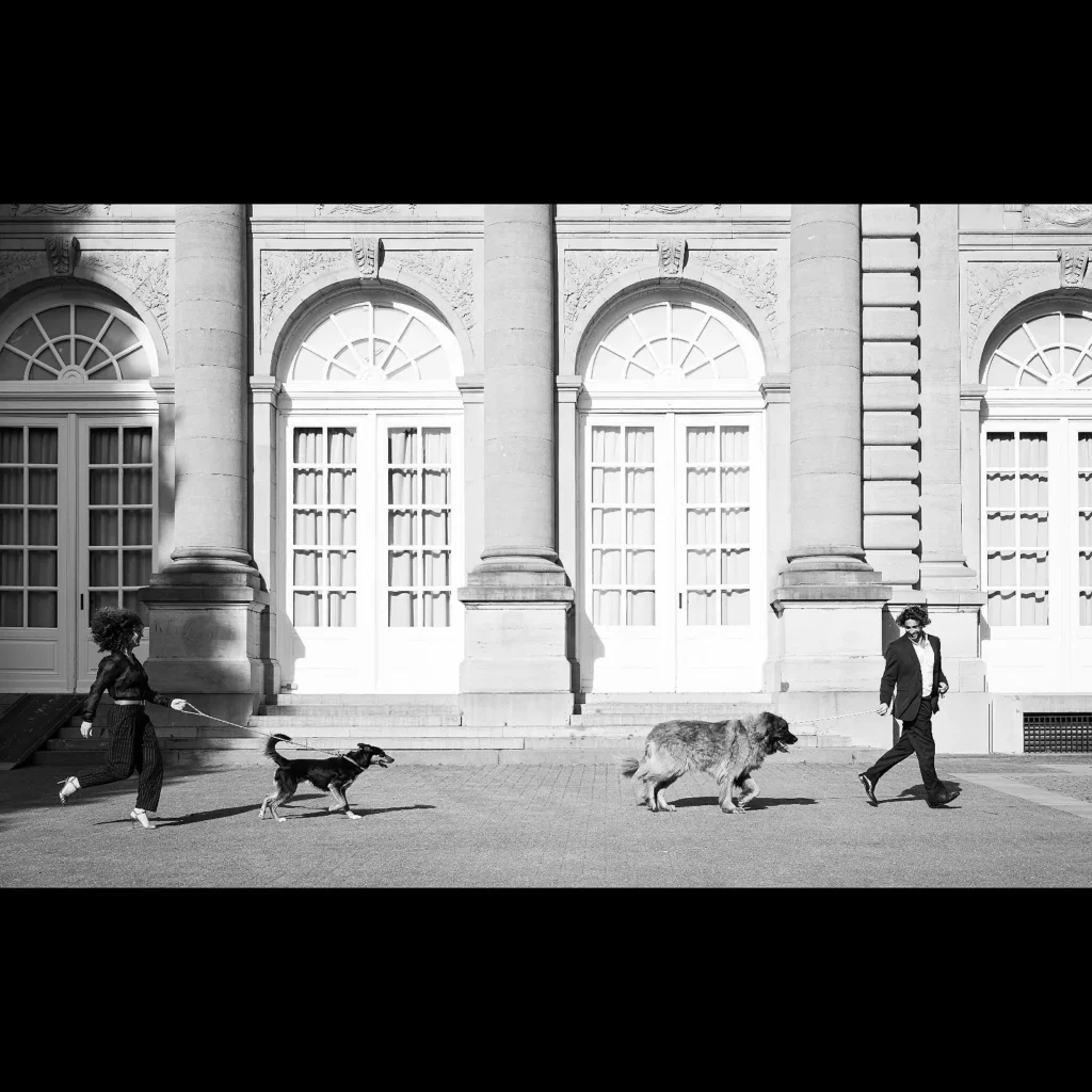 Hond in rust – fine art zwart-wit hondenfotografie door Greycard