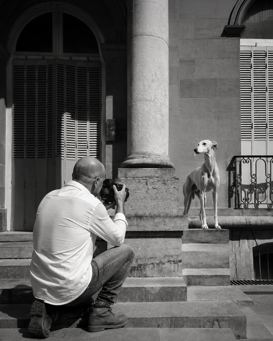 Bart Coenaers photographing a sighthound during a fine art portrait session in a classical architectural setting