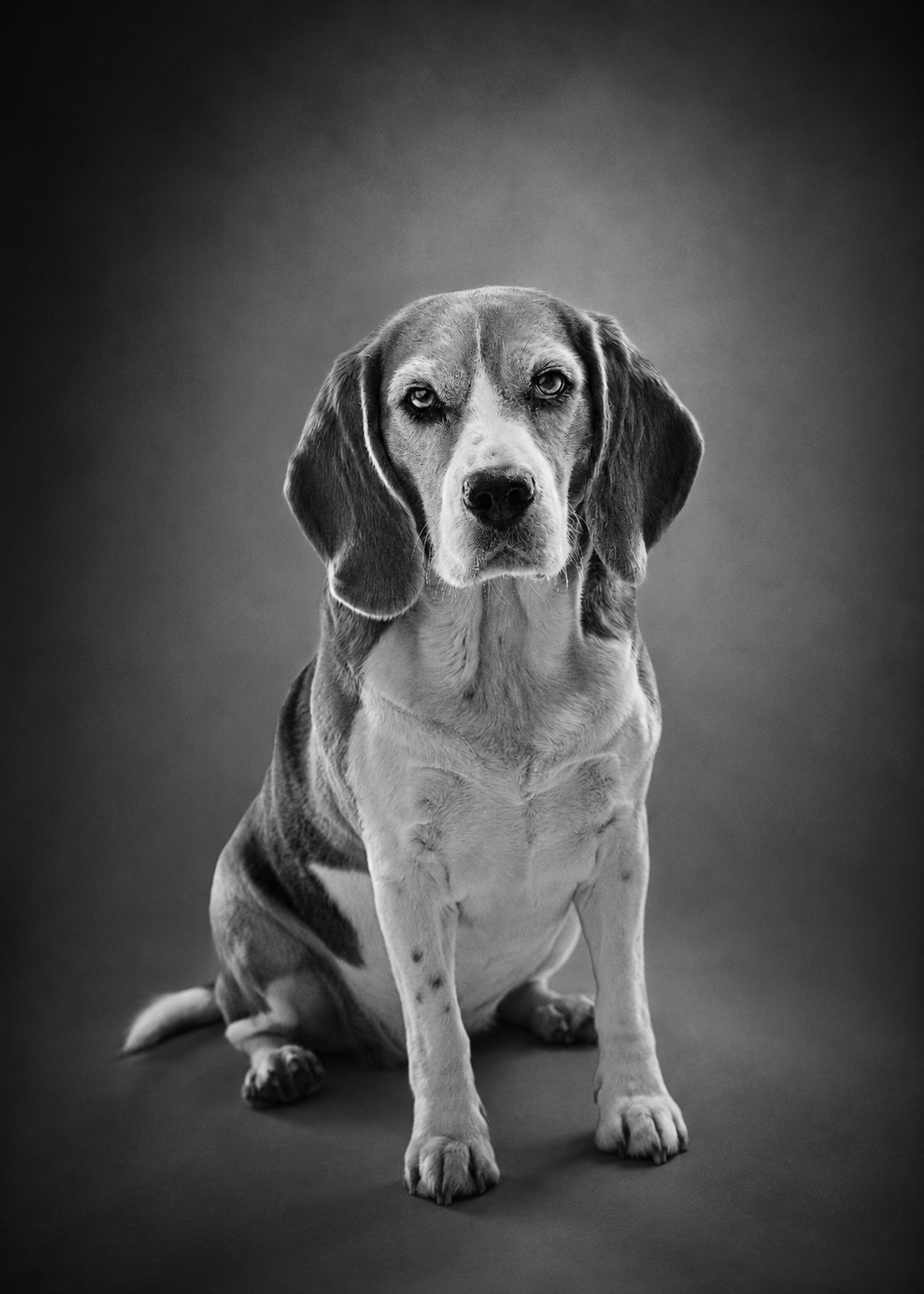 Fine art black and white portrait of Ciccia by Greycard Photography