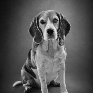 Fine art black and white portrait of Ciccia by Greycard Photography