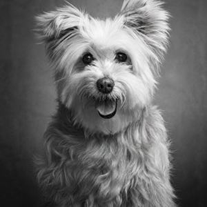 Fine art black and white portrait of Jules by Greycard Photography