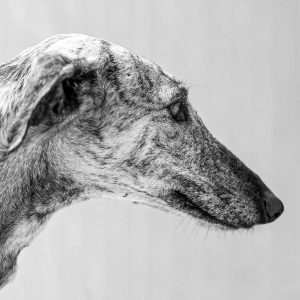 Fine art black and white portrait of Shin by Greycard Photography